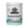 Magnesium Dr. Formulated - Horčík - pomarančový 197,4 g