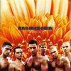 Rammstein: Herzeleid LP - Rammstein