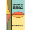 Fundamental Concepts of Algebra
