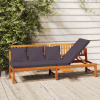Záhradné lehátko - Vidaxl Couch so sivým vankúšom, 200x60x75 cm, lítium (Vidaxl Couch so sivým vankúšom, 200x60x75 cm, lítium)