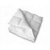 Perina, paplón - Prikrývka na púch 200 x 200 cm (200x200 Summer Down Quilt, 100% dole prikrývky)