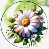 Slnka Daisies/Typ2 KP31562