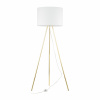 TK Lighting 6637