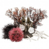 biOrb Décor Set - 15L Red Forest