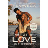 What If Love Is the Point?