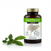 Masticha Active 100ks