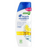 Head & Shoulders Citrus Fresh šampón proti lupinám na mastné vlasy 400 ml