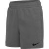 Nike Kraťasy Essential Lap 4 NESSB866 018