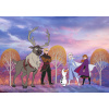 Nástenná maľba Disney Frozen Autumn 400x280 cm nová! (Nástenná maľba Disney Frozen Autumn 400x280 cm nová!)