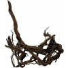 Dragon wood 90-120cm (ID Z05957)