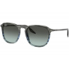 Ray-Ban RB2203 1391GK - L (55)
