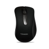 Canyon CNE-CMS2, optická myš, USB, 800 dpi, 3 tlač, čierna