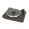 Pro-Ject X-tension 9 Evo Eucalyptus