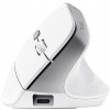 Trust Bayo II Ergonomic Wireless Mouse 25397