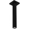 Hansgrohe Príslušenstvo - Sprchové rameno stropné, 31 cm, matná čierna 24339670