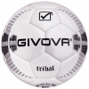 Kvalitná tréningová lopta Givova Pallone Tribal, sivá / biela Veľkosť: 5