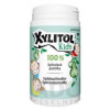 Vitabalans XYLITOL Kids xylitolové pastilky s príchuťou hrušky, 1x90 ks