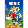Jerry Fabrics Detská fleecová deka Sonic 023