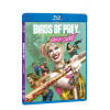 Birds of Prey (Podivuhodná proměna Harley Quinn) BD