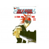 Bleach 11 - A Star and a Stray Dog
