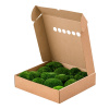 Stabilizovaný mech Ball Moss Dark Green Box 40x40 cm