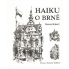 Haiku o Brně - Ryšavý Šimon