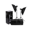 FOMEI BASIC 300RF Softbox kit Terronic