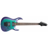 Cort X300 FPU