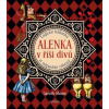 Alenka v Říši divů: Logické hádanky a ná - Gareth Moore