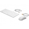 HP USB Keyboard and Mouse Healthcare Edition 1VD81AA#AKB