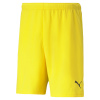 Puma TEAMRISE SHORT
