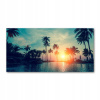 Foto obrázok sklo Sunset Palm 140x70 (Foto-Photo akrylová západ slnka Palm 140x70 cm)