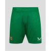 Castore Ireland Third Short Mens 2025 Green M