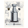 Fanatics Slavnostní tisk Vegas Golden Knights NHL 2023 Stanley Cup Champions 12
