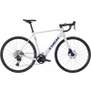 Cestný elektrobicykel Trek Domane+ ALR 5 – Plasma Grey Pearl L