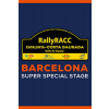 WRC 9 Barcelona SSS