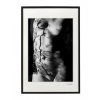 Atelier - Petr Vydra Umelecká fotografia Akty - Tiene čipky (čierny rám), Velikost a varianta fotografií Bílý rám 30 x 40 cm ( pasparta 21x 30 cm )