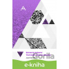 E-kniha Kamenný koberec - technické riešenia detailov - Jozef Gluvňa
