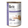 Brit Veterinary Diets Dog GF Gastrointestinal-Low Fat konzerva 400 g
