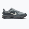 Pánske bežecké topánky Nike Pegasus Premium wolf grey/cool grey/anthracite/sail