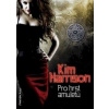 Pro hrst amuletů - Harrison Kim