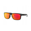 Oakley Holbrook OO9102 9102E2