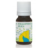 HANUS Silica eukalyptová 10 ml