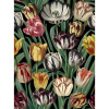 MINDTHEGAP Tulipa - tapeta