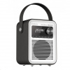 CARNEO D600 Rádio DAB+, FM, BT, black/white 8588007861920
