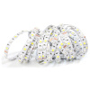 BERGE LED pásek - SMD 5050 - RGB+NW- 5m - 60 LED/m - 14,4 W/m - IP20