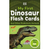 My First Dinosaur Flashcards