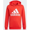 Adidas Essentials Big Logo Hoodie Jr GN4037 (111674) 128cm