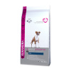 Eukanuba Boxer 12 kg