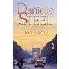 Bod zlomu - Danielle Steel